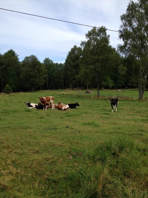 Stuga Linnebraten Värnamo Esterno foto