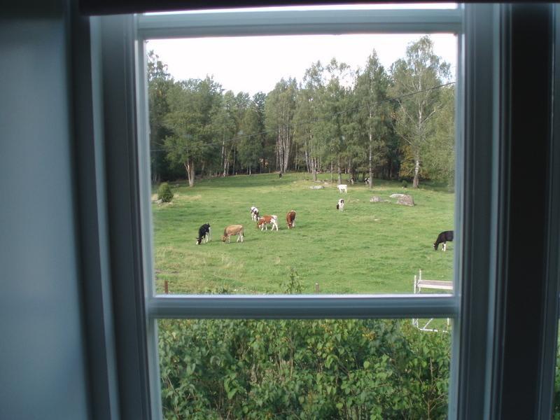 Stuga Linnebraten Värnamo Esterno foto